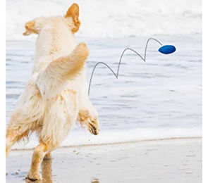Beeztees Fetch Stein Hundespielzeug aus TPR schwimmendes Wurfspielzeug in Blau oder Bunt – Bild 1 von 10