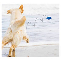 Produktbild von Beeztees Fetch Stein Hundespielzeug aus TPR schwimmendes Wurfspielzeug in Blau oder Bunt