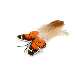 Produktbild von Beeztees Fligo Schmetterling Katzenspielzeug aus Plüsch in Orange