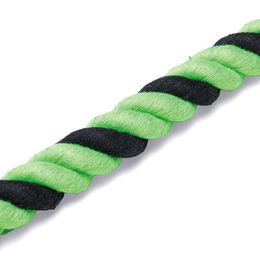 Beeztees Halloween Plüsch-Hundespielzeug Spinne mit Seil und Squeaker in Grün/Schwarz – Bild 1 von 3