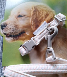 Beeztees Halsband und Leine Set für Welpen und kleine Hunde aus Nylon in Rosa und Weiß Größe XS - 1 Stk. – Bild 1 von 8