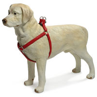 Produktbild von Beeztees Hundegeschirr aus Kunstleder in Rot mit Verstellbarkeit 60-100 cm