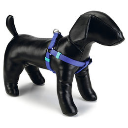 Produktbild von Beeztees Hundegeschirr aus Nylon in Blau mit Verstellmöglichkeit 46 - 75 cm