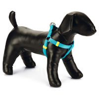 Produktbild von Beeztees Hundegeschirr aus Nylon in Hellblau, verstellbar 26-40 cm