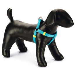 Beeztees Hundegeschirr aus Nylon in Hellblau, verstellbar 46-75 cm – Bild 1 von 2