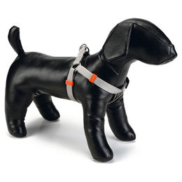 Beeztees Hundegeschirr aus Nylon in Hellgrau mit Verstellmöglichkeit 35-50 cm – Bild 1 von 2