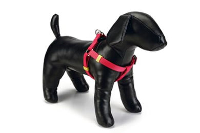 Beeztees Hundegeschirr aus Nylon in Rosa mit Verstellmöglichkeit 26-40 cm – Bild 1 von 2