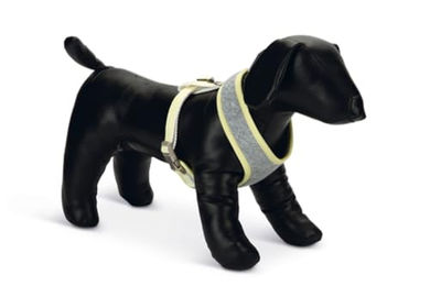 Beeztees Hundegeschirr Bronda für Welpen Grau Größe M – Bild 1 von 2