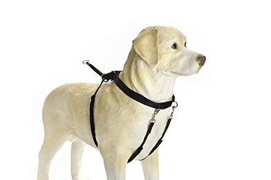 Beeztees Hundegeschirr Gentle Walker aus Nylon in Schwarz Größe XL – Bild 1 von 2
