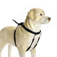 Produktbild von Beeztees Hundegeschirr Gentle Walker aus Nylon Schwarz Größe L