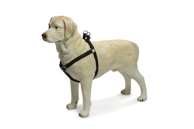 Beeztees Hundegeschirr Mac aus Kunstleder Schwarz 35-60 cm – Bild 1 von 3
