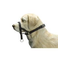 Produktbild von Beeztees Hundegeschirr Mini Dog Control Schwarz aus Nylon Größe XS