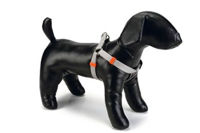 Produktbild von Beeztees Hundegeschirr Nylon Hellgrau 50-65 x 2 cm