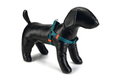 Produktbild von Beeztees Hundegeschirr Uni aus Nylon in Dunkelgrün 20-30 x 1 cm