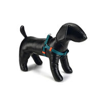 Produktbild von Beeztees Hundegeschirr Uni aus Nylon in Dunkelgrün 20-30 x 1 cm