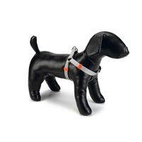 Produktbild von Beeztees Hundegeschirr Uni aus Nylon in Hellgrau 20-30 x 1 cm