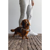 Produktbild von Beeztees Hundegeschirr Velours Grau Größe S mit Brustumfang 52 cm