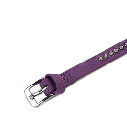 Produktbild von Beeztees Hundehalsband aus Buffalo Leder in Lila, wasserfest, verstellbar 20 - 24 cm