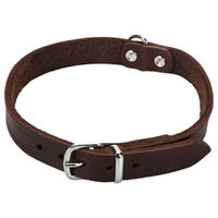 Produktbild von Beeztees Hundehalsband aus Leder in Braun