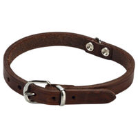 Produktbild von Beeztees Hundehalsband aus Leder in Braun mit verstellbarer Länge von 27 bis 33 cm
