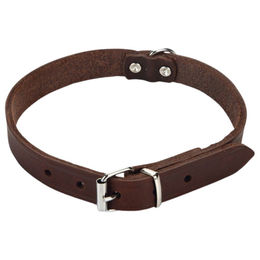 Produktbild von Beeztees Hundehalsband aus Leder in Braun mit verstellbarer Länge von 37 bis 47 cm