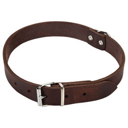 Beeztees Hundehalsband aus Leder in Braun mit verstellbarer Länge von 47 bis 57 cm - 1 Stk. – Bild 1 von 6