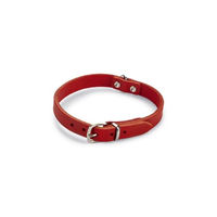 Produktbild von Beeztees Hundehalsband aus Leder in Rot 42 x 16 cm