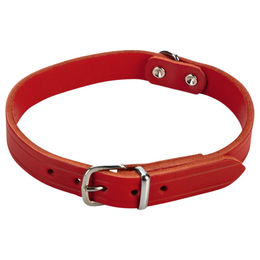 Beeztees Hundehalsband aus Leder in Rot – Bild 1 von 2