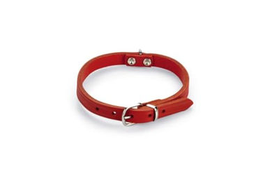 Beeztees Hundehalsband aus Leder in Rot mit verstellbarer Länge von 27-33 cm – Bild 1 von 2