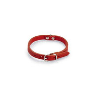 Produktbild von Beeztees Hundehalsband aus Leder in Rot mit verstellbarer Länge von 27-33 cm