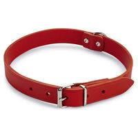 Produktbild von Beeztees Hundehalsband aus Leder in Rot mit Verstellmöglichkeit 47 - 57 cm