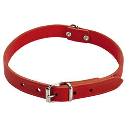 Beeztees Hundehalsband aus Leder in Rot mit Verstellmöglichkeit von 43 bis 52 cm – Bild 1 von 2