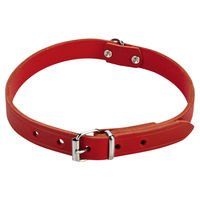 Produktbild von Beeztees Hundehalsband aus Leder in Rot mit Verstellmöglichkeit von 43 bis 52 cm