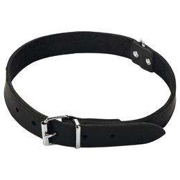 Beeztees Hundehalsband aus Leder in Schwarz - 1 Stk. – Bild 1 von 6