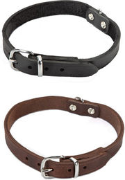 Beeztees Hundehalsband aus Leder in Schwarz – Bild 1 von 5