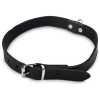 Produktbild von Beeztees Hundehalsband aus Leder in Schwarz mit verstellbarer Länge 43 - 52 cm