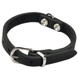 Beeztees Hundehalsband aus Leder in Schwarz mit Verstellmöglichkeit 17 - 23 cm – Bild 1 von 2