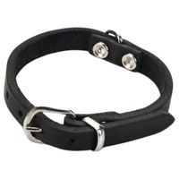 Produktbild von Beeztees Hundehalsband aus Leder in Schwarz mit Verstellmöglichkeit 17 - 23 cm