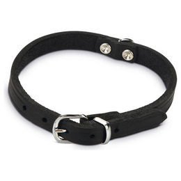 Produktbild von Beeztees Hundehalsband aus Leder in Schwarz mit Verstellmöglichkeit 27 - 33 cm