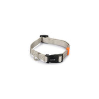 Produktbild von Beeztees Hundehalsband aus Nylon in Grau, verstellbar von 35 bis 50 cm