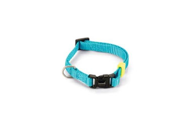 Produktbild von Beeztees Hundehalsband aus Nylon in Hellblau Türkis verstellbar 20-30 cm x 10 mm