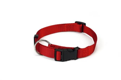Beeztees Hundehalsband aus Nylon in Rot mit verstellbarer Länge von 30 bis 45 cm – Bild 1 von 4