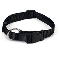 Produktbild von Beeztees Hundehalsband aus Nylon in Schwarz mit verstellbarer Länge von 35 bis 55 cm