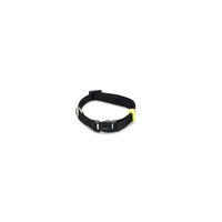 Produktbild von Beeztees Hundehalsband aus Nylon in Schwarz, verstellbar 20-30 cm x 10 mm