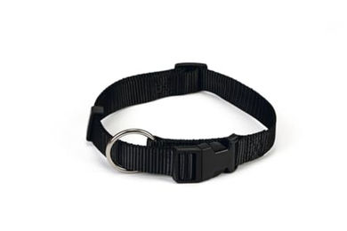 Produktbild von Beeztees Hundehalsband aus Nylon in Schwarz verstellbar 22-35 cm