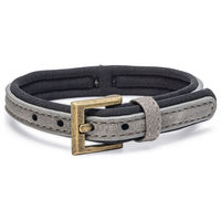 Produktbild von Beeztees Hundehalsband Balacron Ax aus Kunstleder grau