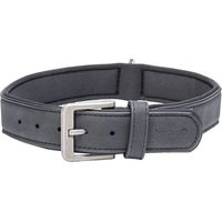 Produktbild von Beeztees Hundehalsband Balacron Ax aus Kunstleder in Rosa 52-62 cm
