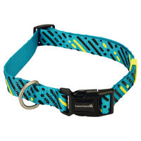 Produktbild von Beeztees Hundehalsband Memphis aus Nylon in Hellblau, verstellbar 48-70 cm