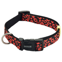 Produktbild von Beeztees Hundehalsband Scribbles Schwarz aus Nylon verstellbar 35 - 50 cm