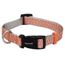 Produktbild von Beeztees Hundehalsband Triangle aus Nylon in Hellgrau 20-30 x 1 cm